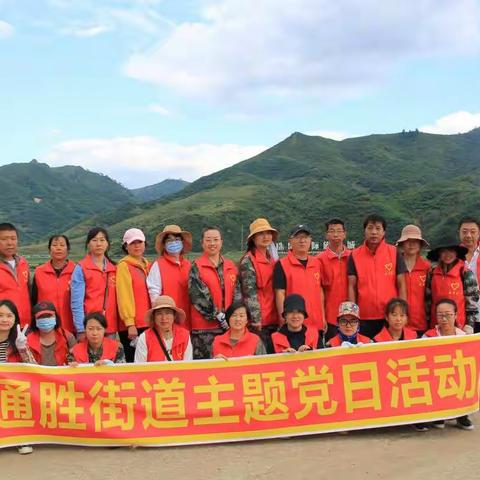 通胜街道开展“主题党日+河道清理整治”活动