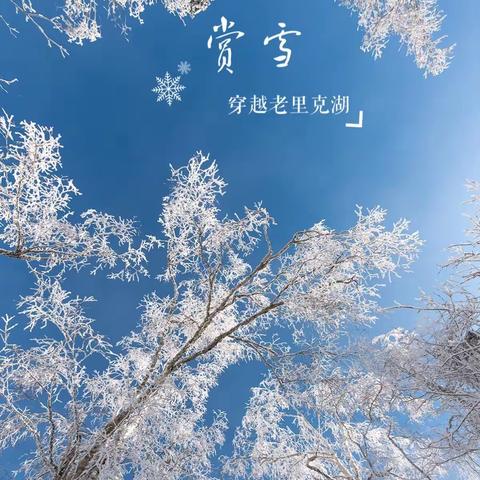 老里克湖赏雪