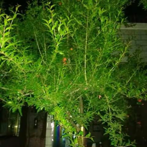我的美篇