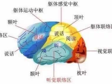 脑梗死健康教育小知识