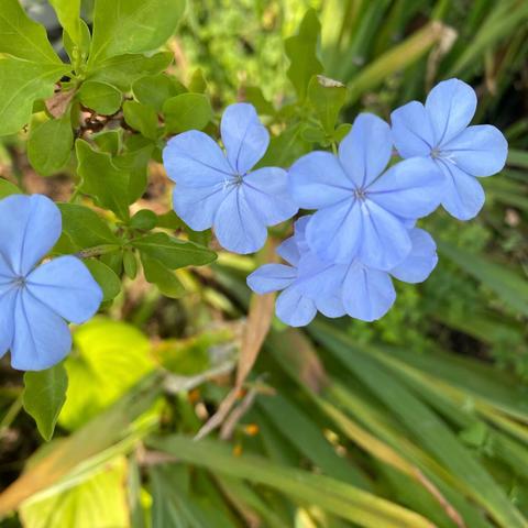 皖投服务安徽铁投项目4月11日至4月16日                         服务工作简报