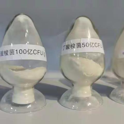 水产养殖中具体是乳酸菌好用还是丁酸梭菌好用呢？