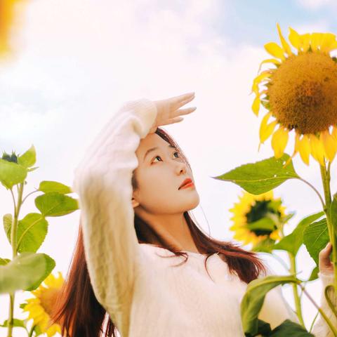 古体诗·《笑脸张张面向阳》·词九首