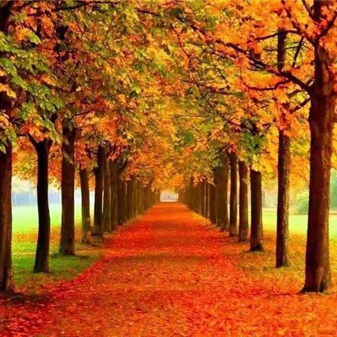 古体诗.《秋之韵.秋情》.诗词（六首）