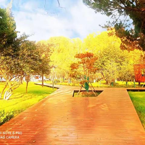 古体诗.《秋之韵.意浓浓》.诗词（六首）