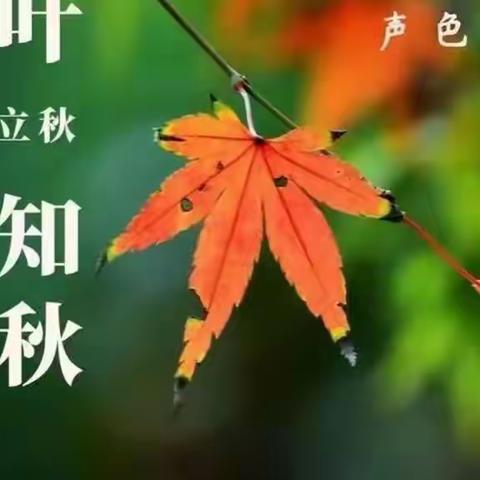 原创.《一叶之秋》