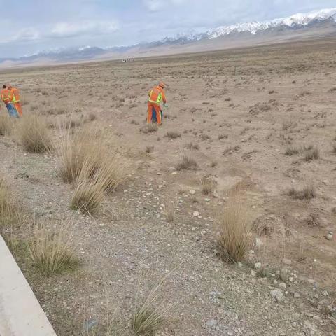 整治路域环境，打造畅美公路