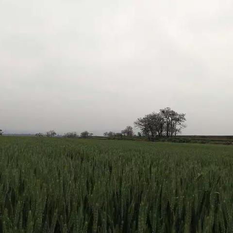 携同学出游偃洛三景