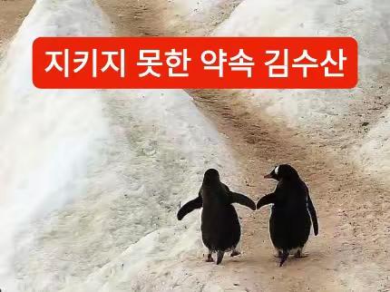 지키지 못한 약속 김수산