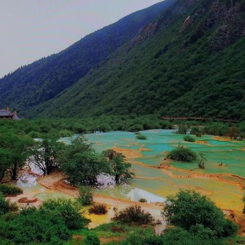 黄 龙 凤 景 区