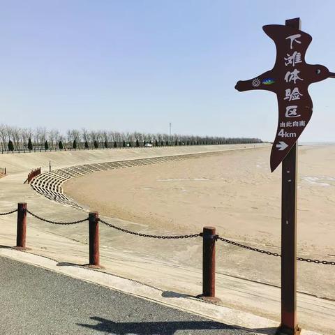 苏中大地花正黄