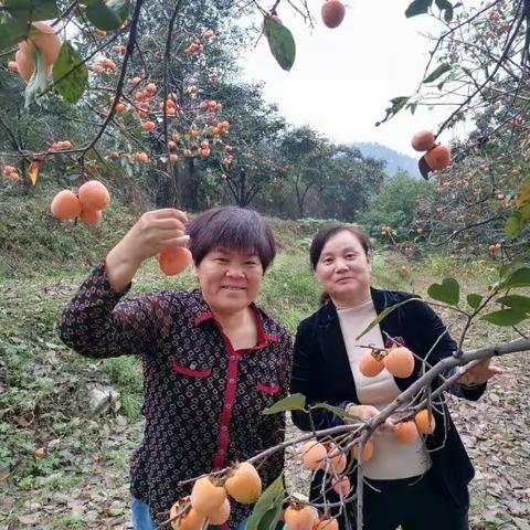 秋日邵庄景色美