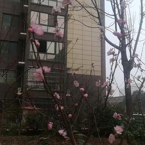 有趣的作业--春天在哪里？