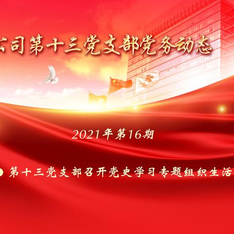 联通在线第十三党支部召开“党史学习”专题组织生活会
