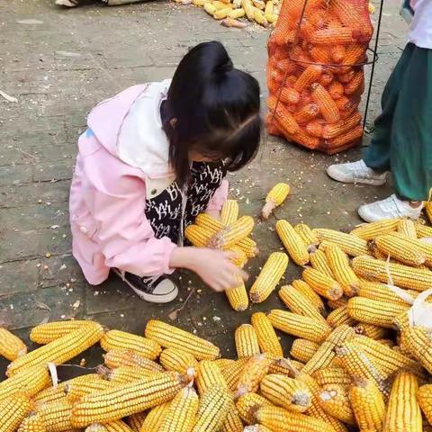 西吕营镇南河马小学五年级一班德育系列