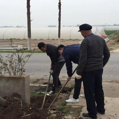 齐心协力栽树忙    其乐融融一家亲