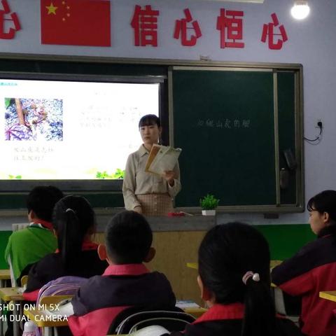 〔大屯中心校〕－“思维盛宴，共同提高”兴洲明德小学语文优质课大赛