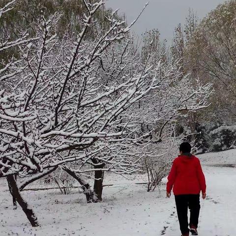 初雪
