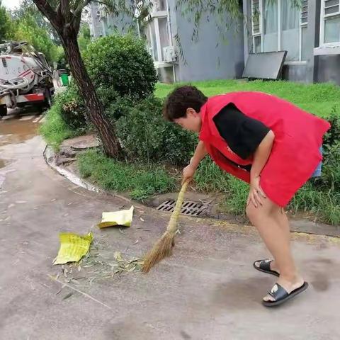 【研究巷社区】开展垃圾分类活动