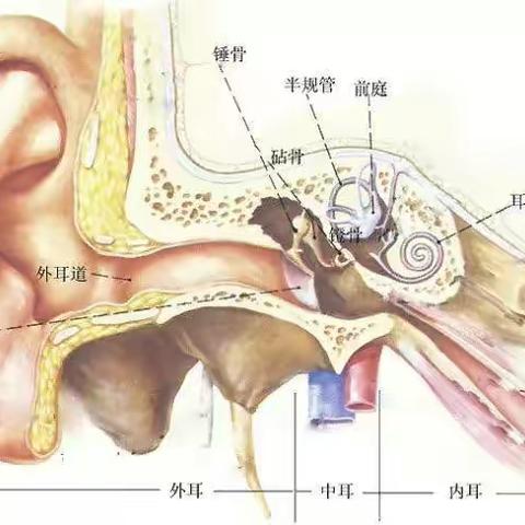 我的“眩晕/头晕”是什么病？