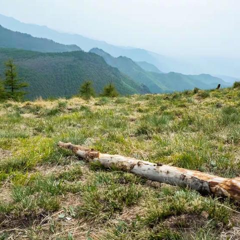 灵石游--介林、红崖峡谷