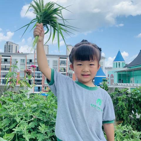 小苹果幼儿园萌九班姚雨琪小朋友美篇