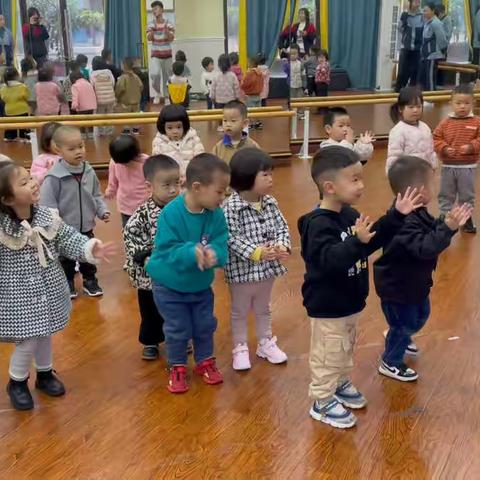 艾德蒙幼儿园海象班11月精彩回顾