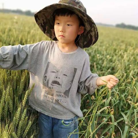 一年级（11）班学习活动展示