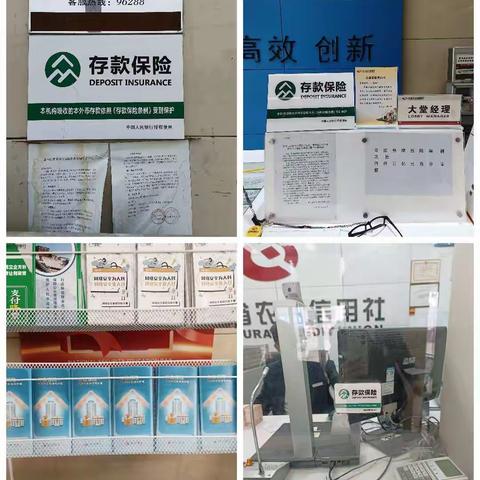 “助力乡村振兴”驻马店农商银行臧集分理处开展“存款保险”宣传活动