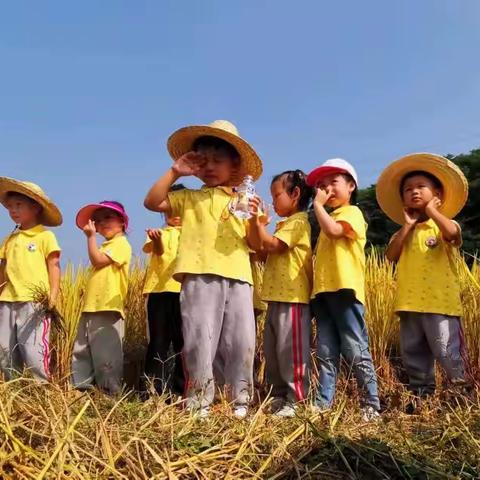 张巧红淡水爱学习教育的美篇