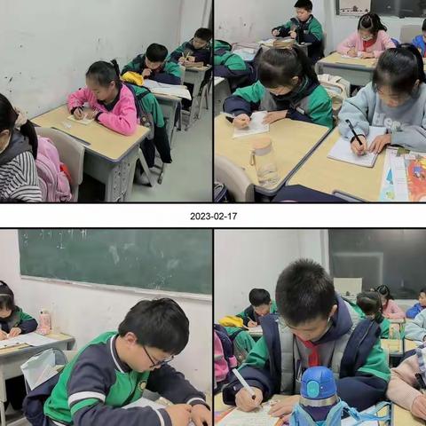 🌈2023辰星托管周总结0217