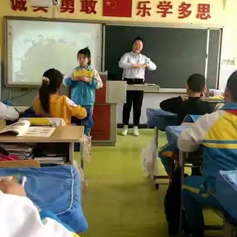 展新风貌，初露头角——乐山镇莲花小学新教师汇报课教研活动