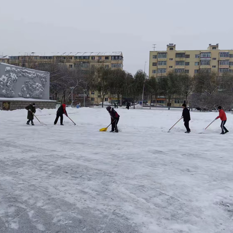 雪中清  雪中情香坊区园林局抗击灾害性天气全员出动清雪  为百姓创造良好环境  彰显雪中“情”