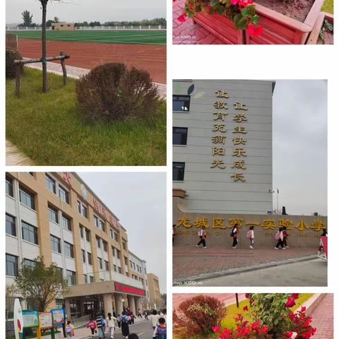 与时俱进聚焦新课标       群英荟萃慧绎新思潮 ——记参加朝阳市小学数学新课标新理念新课堂教学观摩研讨会