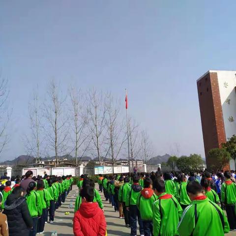 董团小学举行“小手拉大手，文明一起走”系列活动启动仪式