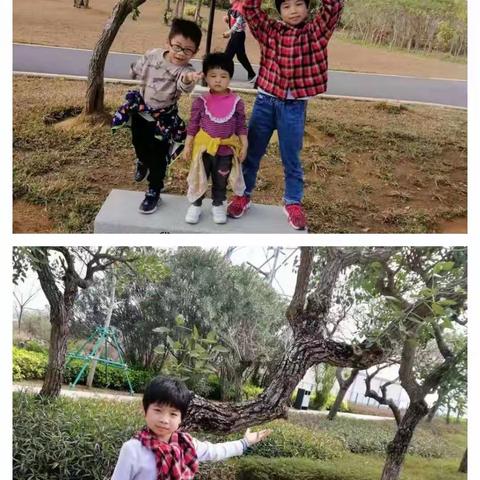 陈优璇寒假生活美篇