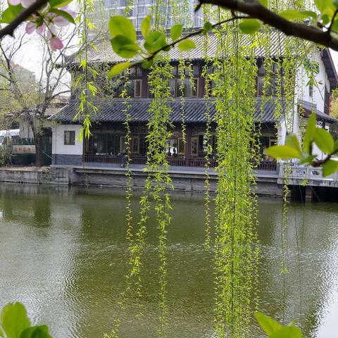 春风杨柳万千条 中华神州尽舜尧