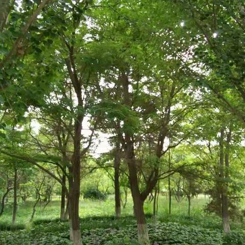 徒步龙泉景观带