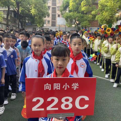 用运动之歌，展生命风采——记向阳小学“民族团结一家亲，同心共筑中国梦”第十六届体育活动节228 班活动实况