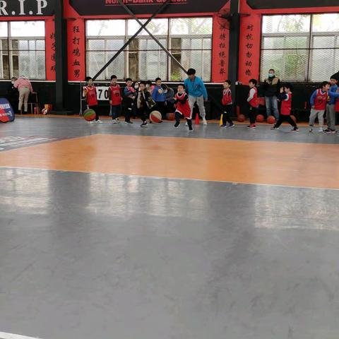 我的篮球初学故事