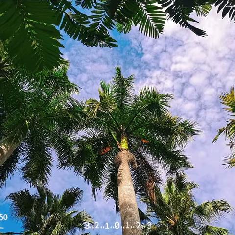 中科院植物园