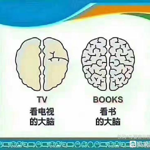 看书和看电视对大脑的影响