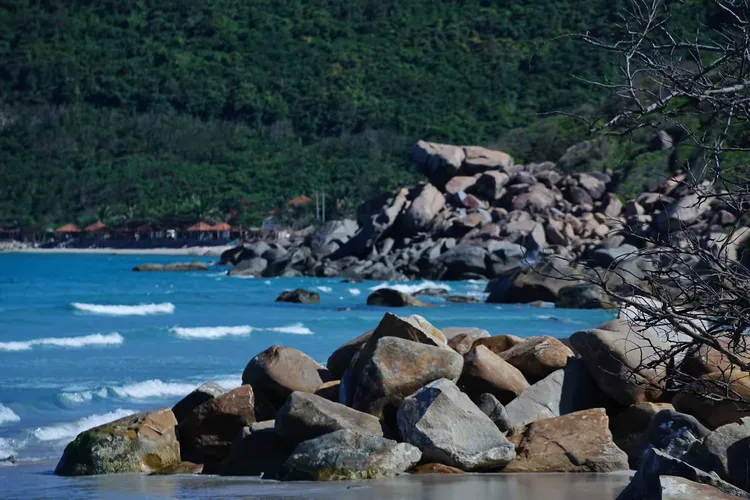 越南金兰湾海滩