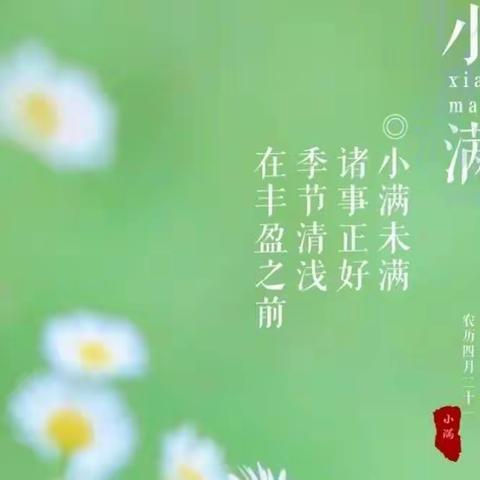 【小满到   麦满仓🌾】——启航幼儿园逸城园区二十四节气之“小满”