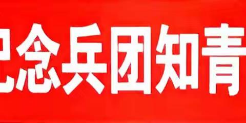 云南生产建设兵团三师十三团知青纪念支边50周年