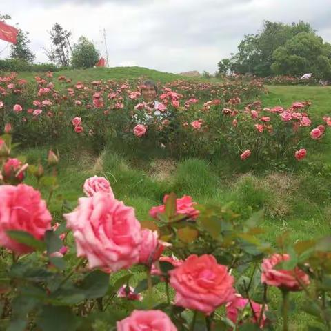 花满地龙川文化园
