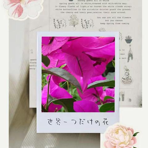 给她一瓢水，还你一园春