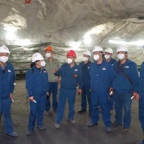 2020-11-11到大红山矿业公司考察学习