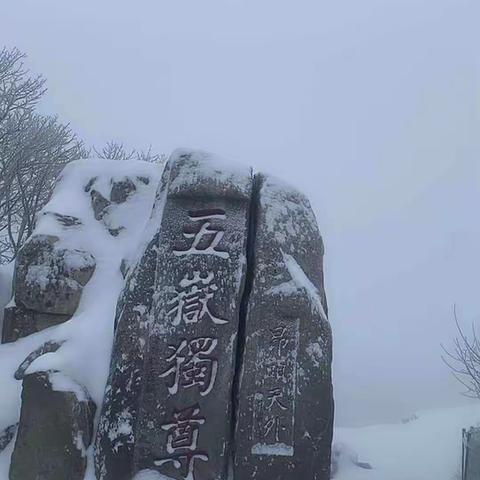 2021.2.26泰山雪景～来自抖音“泰山娟姐”直播录屏（一）