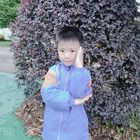 晨曦旗舰幼儿园🏡中班   郭腾泽✨成长记录